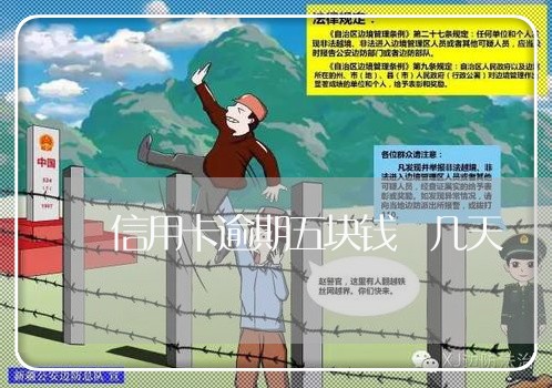 信用卡逾期五块钱 几天 信用卡逾期五块钱 几天